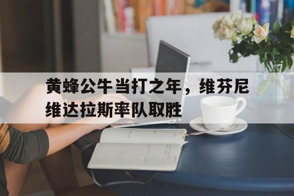 黄蜂公牛当打之年，维芬尼维达拉斯率队取胜的简单介绍